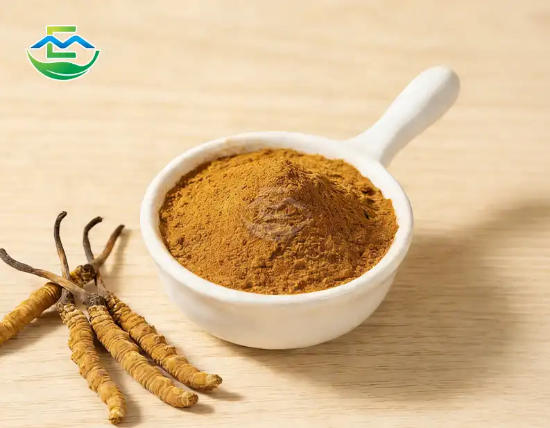 The Complete Guide to Harnessing the Benefits of Cordyceps sinensis extract
